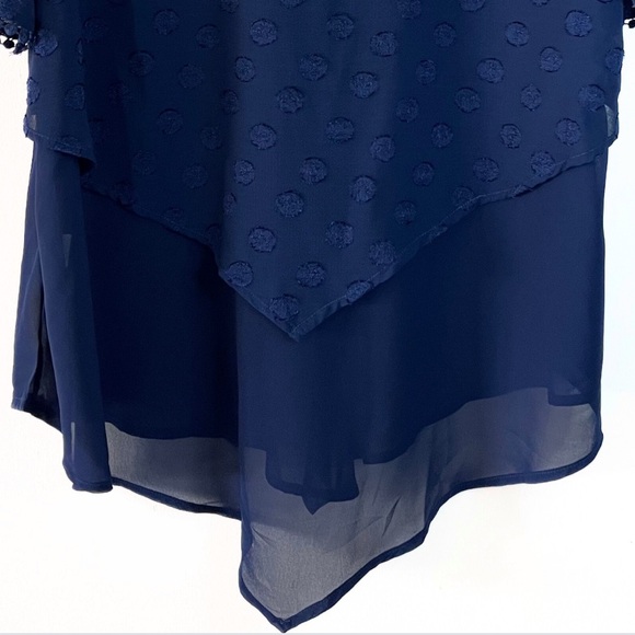 Plus Size Swiss Dot NavySheer Blouse Top Size:XXL - Picture 3 of 5